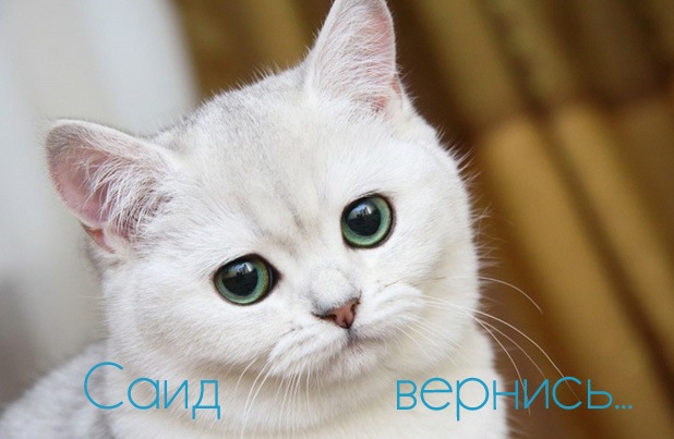 Яркие и красочные именные открытки для Саида                     