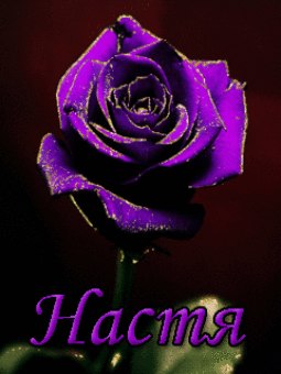 Красивые и яркие открытки на разные праздники для Анастасии  