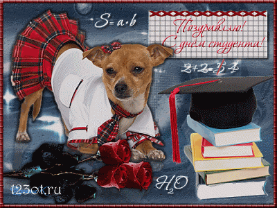 Открытки на день студента с сайта 123ot.ru Межденародный день студента отмеча...