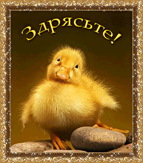 Яркие и красивые открытки с приветствием на каждый  день          