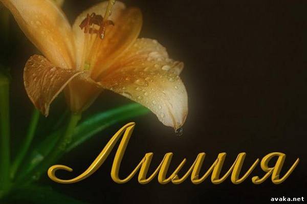Именные открытки с пожеланиями и поздравлениями для Лилии    