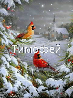 Яркие и красочные именные открытки для Тимофея                   