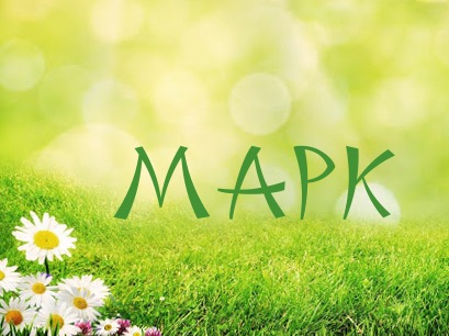 Яркие и красочные именные открытки для Марка                    