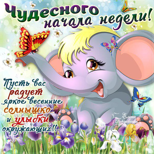 Яркие открытки с пожеланиями удачной и продуктивной недели    