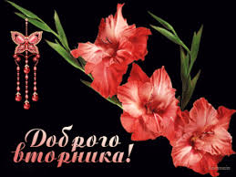 Яркие и веселые открытки с пожеланиями  замечательной среды   