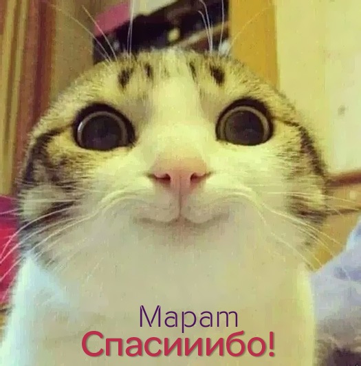 Яркие и красочные  именные  открытки  для  Марата                              