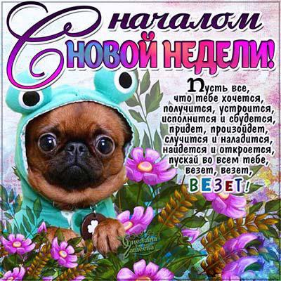 Яркие открытки с пожеланиями удачной и продуктивной недели    