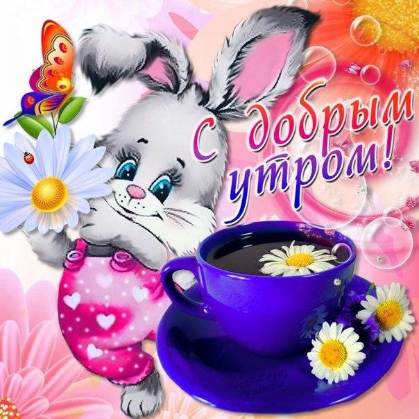 Яркие открытки  добрым утром. Пожелания доброго утра. С добрым утром 