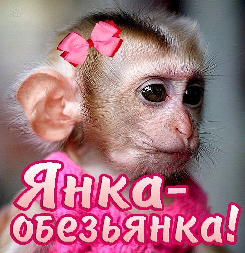 именные открытки с пожеланиями и поздравлениями для Яны          