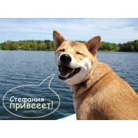 Именные открытки с поздравлениями и пожеланиями для Стефании  