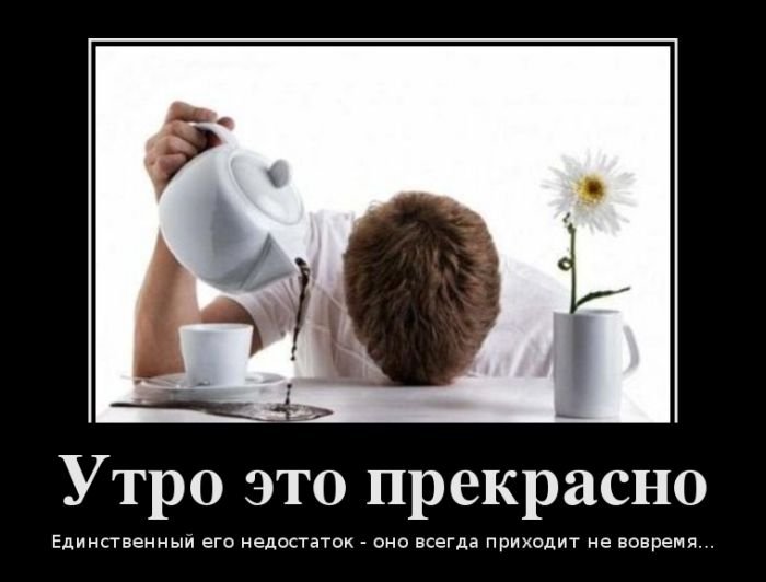 Открытки с приколами на каждое утро. Доброе утро с юмором   