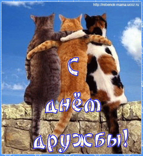 Яркие и красочные открытки на день друзей                    