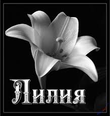 Именные открытки с пожеланиями и поздравлениями для Лилии    