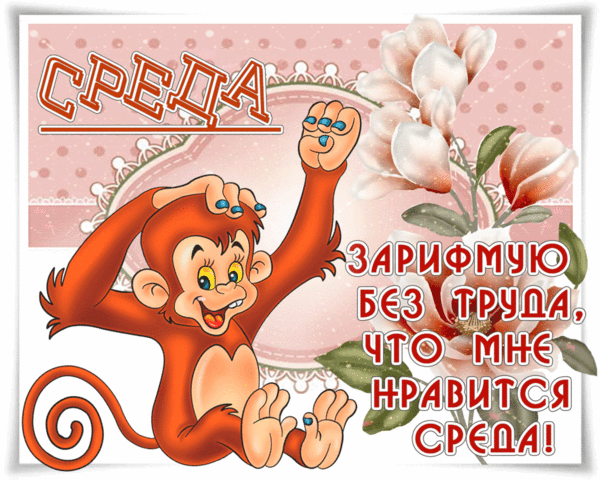 Яркие и веселые открытки с пожеланиями  замечательной среды   