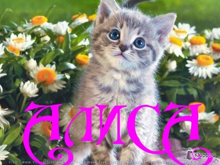 Именные открытки  с пожеланиями и поздравлениями для Алисы   