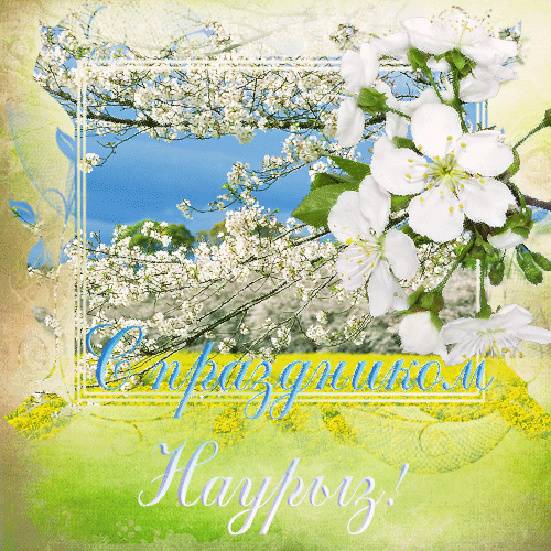 Яркие и красивые открытки на наурыз. С весенним праздником наурыз