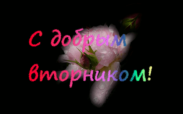 Яркие открытки с пожеланиями  удачного и хорошего вторника   