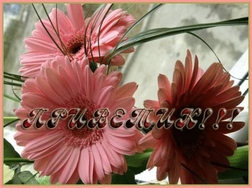 Яркие и красивые открытки с приветствием на каждый  день          