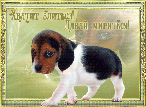 Милые открытки с извинениями на каждый день. Открытки с извинениями 