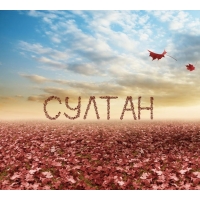 Яркие и красочные именные открытки с поздравлениями для Султана 