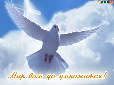Красивые открытки на Международный День Мира. С Днем Мира    