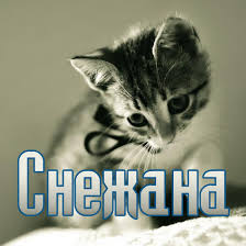 именные открытки на праздники и каждый день для Снежаны      