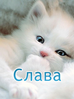 Именные открытки с поздравлениями и пожеланиями для Славы   