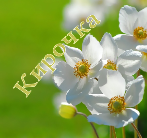 Именные открытки с поздравлениями на день рождения для Киры 