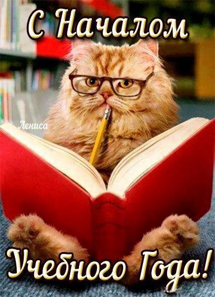 Открытки с приколами на день знаний. С 1 сентября                 