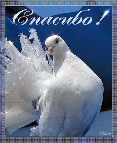 Милые открытки на каждый день с благодарностью. Спасибо большое 