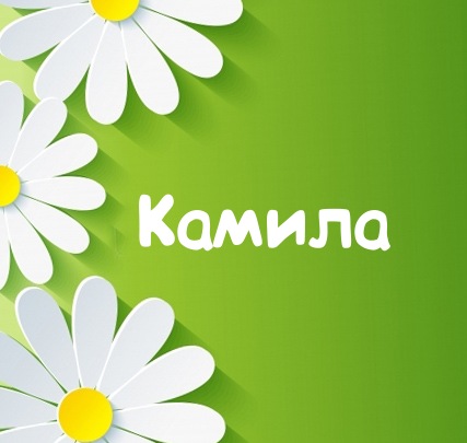 Именные открытки с пожеланиями на день рождения для Камиллы 