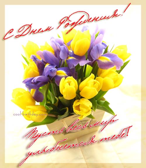 Красивые открытки с тюльпанами на день рождения              