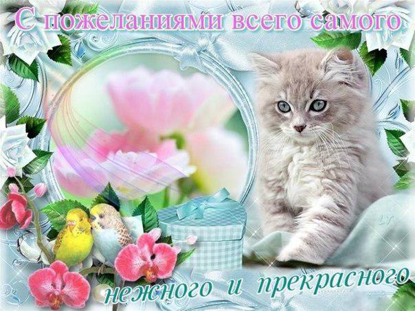 Милые открытки с пожеланиями  всего хорошего. Удачи, счастья 