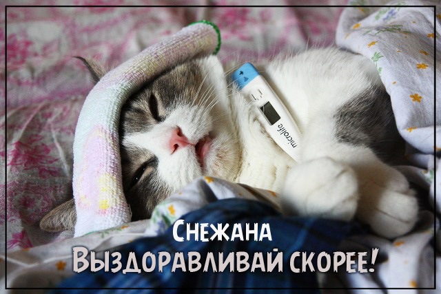 именные открытки на праздники и каждый день для Снежаны      