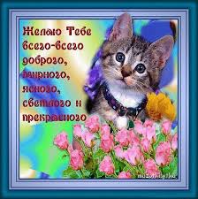 Милые открытки с пожеланиями  всего хорошего. Удачи, счастья 