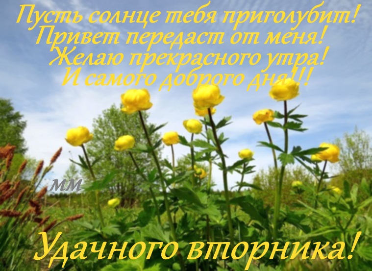 Яркие и веселые открытки с пожеланиями  замечательной среды   