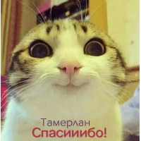 Яркие и красочные именные открытки для Тамерлана            