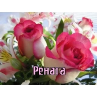 Именные открытки с поздравлениями и пожеланиями для Ренаты   
