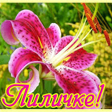 Именные открытки с пожеланиями и поздравлениями для Лилии    