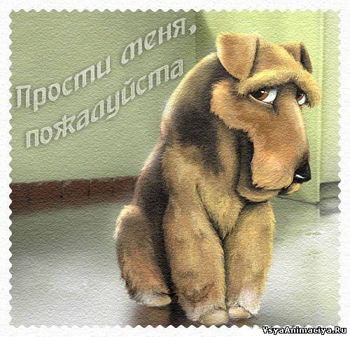 Милые открытки с извинениями на каждый день. Открытки с извинениями 