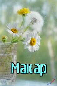 Яркие и интересные именные открытки на разные праздники для Макара 