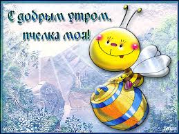 Открытки с приколами на каждое утро. Доброе утро с юмором   