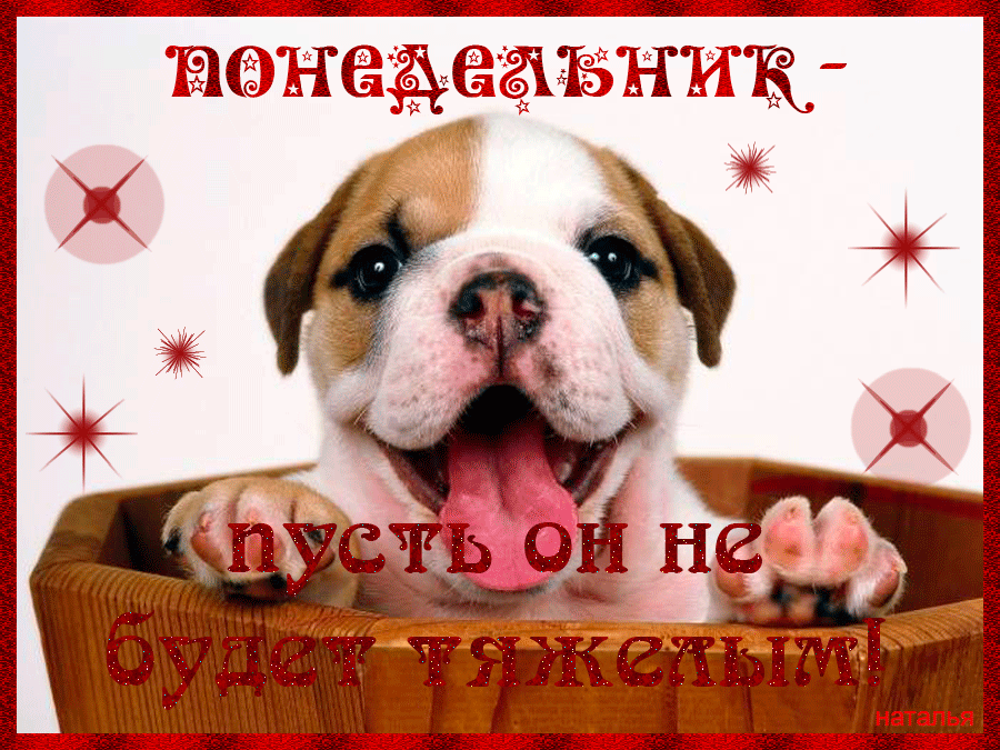 Открытки с пожеланиями удачного и легкого понедельника               