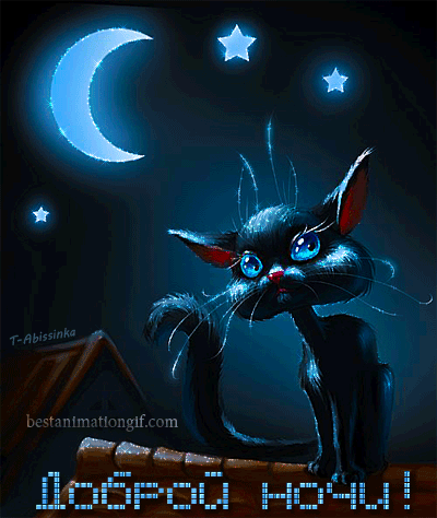 Споки ноки открытки с пожеланиями хороших снов для любимых с котиками