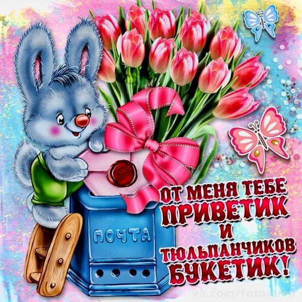 Яркие и красивые открытки с приветствием на каждый  день          