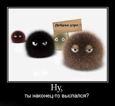 Открытки с приколами на каждое утро. Доброе утро с юмором   