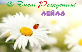 Именные открытки с поздравлениями на день рождения для Лейлы 