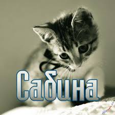 Именные открытки с поздравлениями и пожеланиями для Сабины  