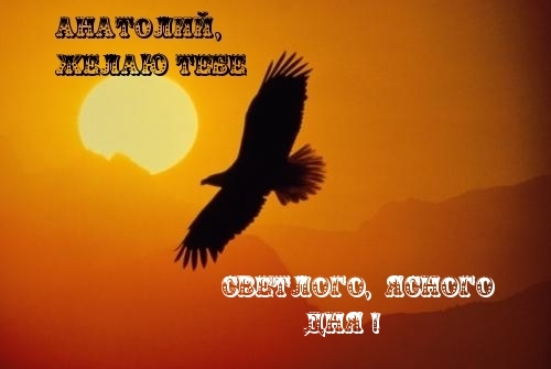 Именные открытки с поздравлениями и пожеланиями для Анатолия 