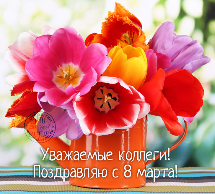 Красивые открытки с тюльпанами на 8 марта                    